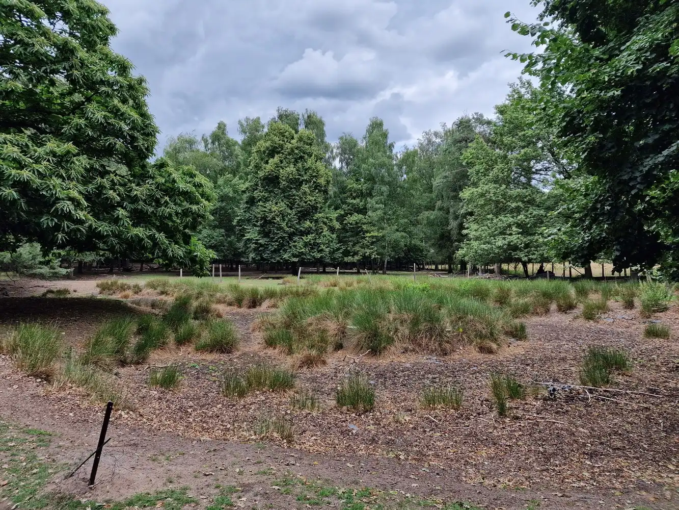 Huis te koop foto 12