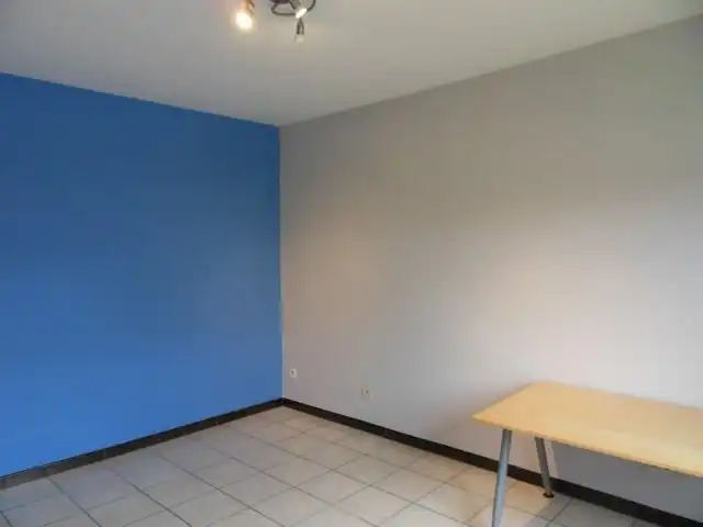 Rustig gelegen BUNGALOW, 2 slaapkamers / bureel, garage en tuin op 4 are 66 ca foto 12