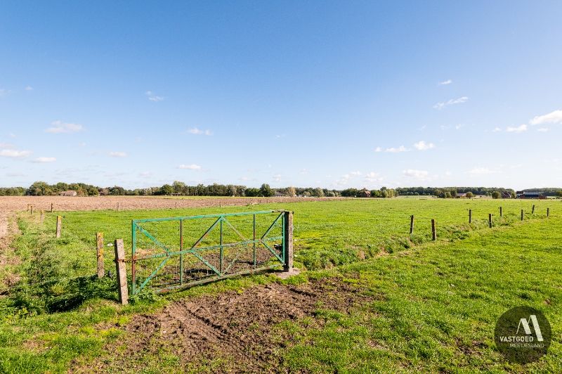 Hoeve & bouwgrond & weide & stallingen...op 2.2 hectare foto 34