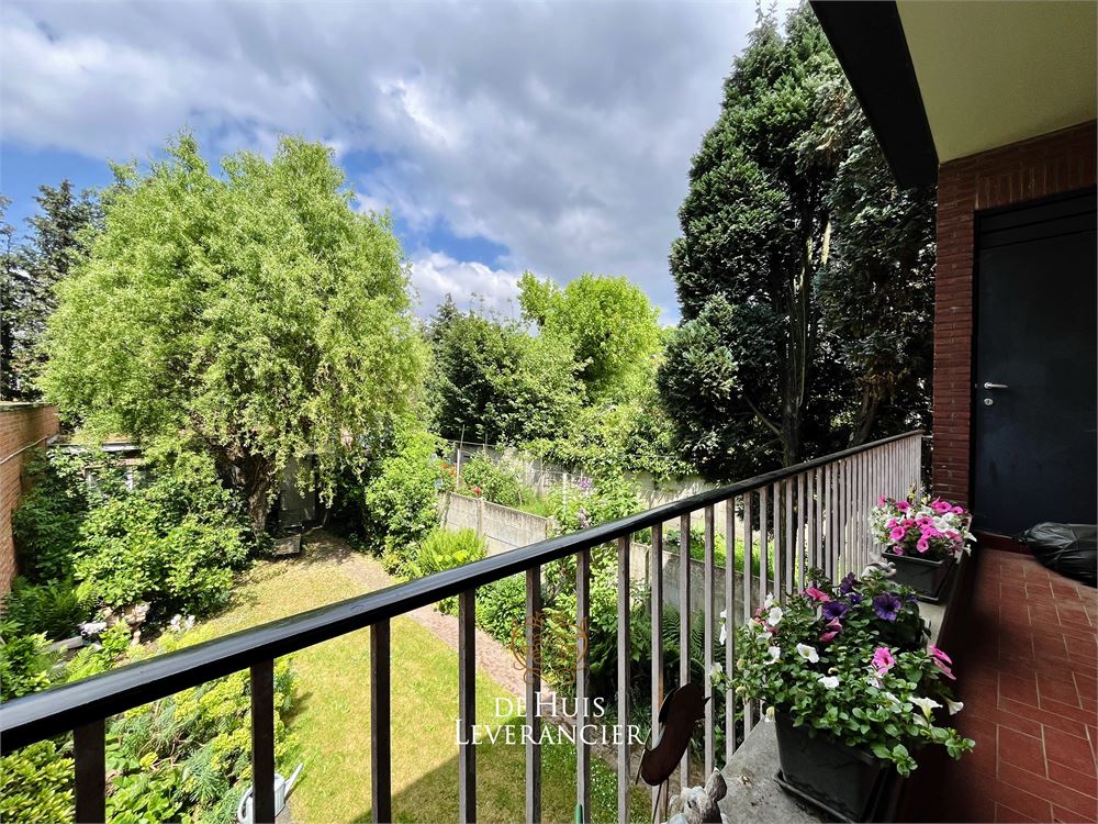 Wonen in het hart van Wilrijk met ruimte voor meer dan alleen een warme thuis foto 7