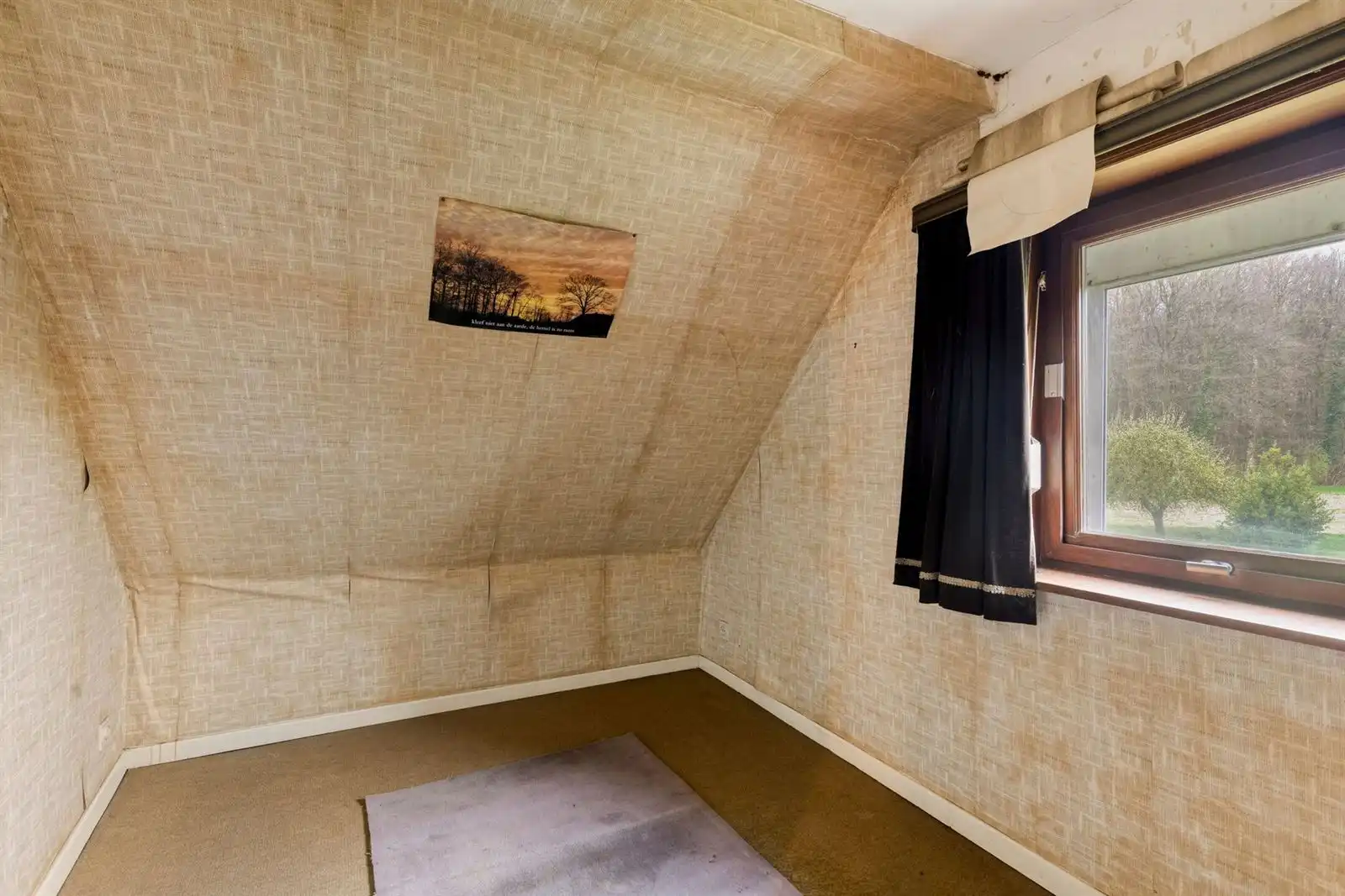 Unieke 3-gevelwoning met uitbreidingspotentieel naast het Hallerbos  foto 14