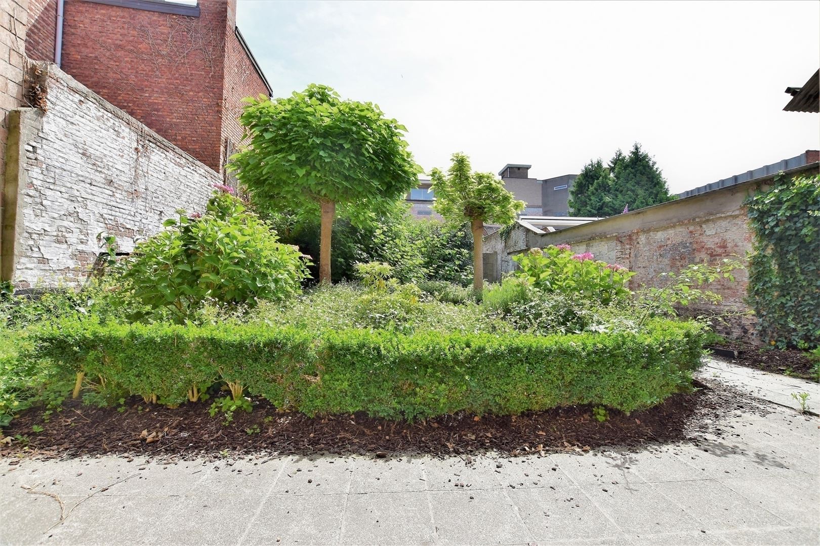 Praktijk-kantoorruimte (100m²) gelegen in het hartje Dendermonde foto 7