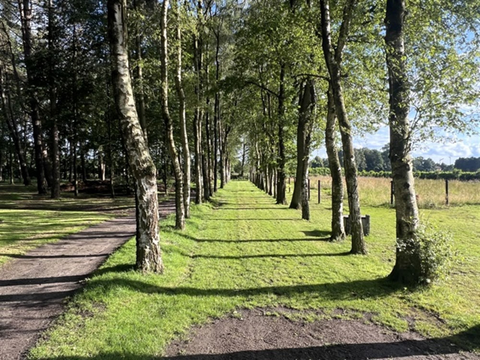 Gerenoveerd enorm landhuis op ongeveer 3 ha foto 44