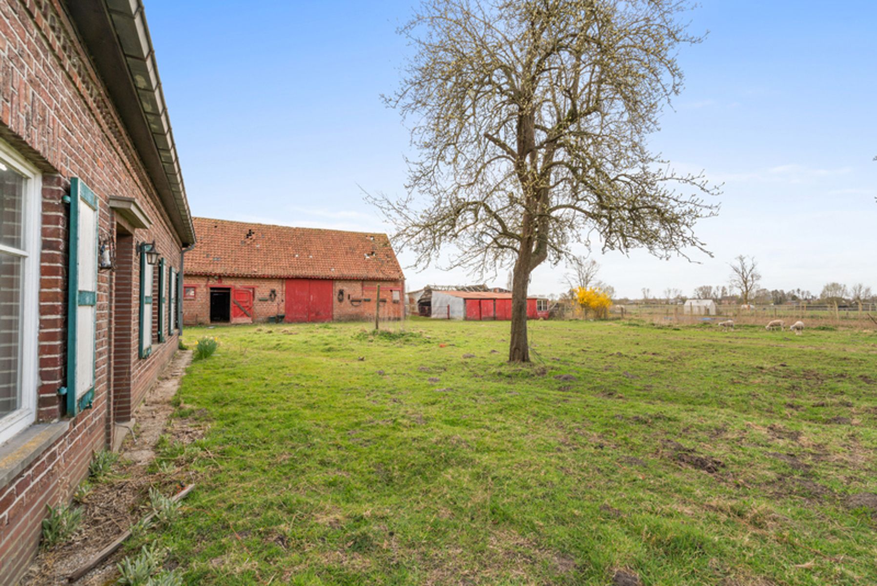 Hoeve met bijgebouwen op circa 1,2 ha foto 18