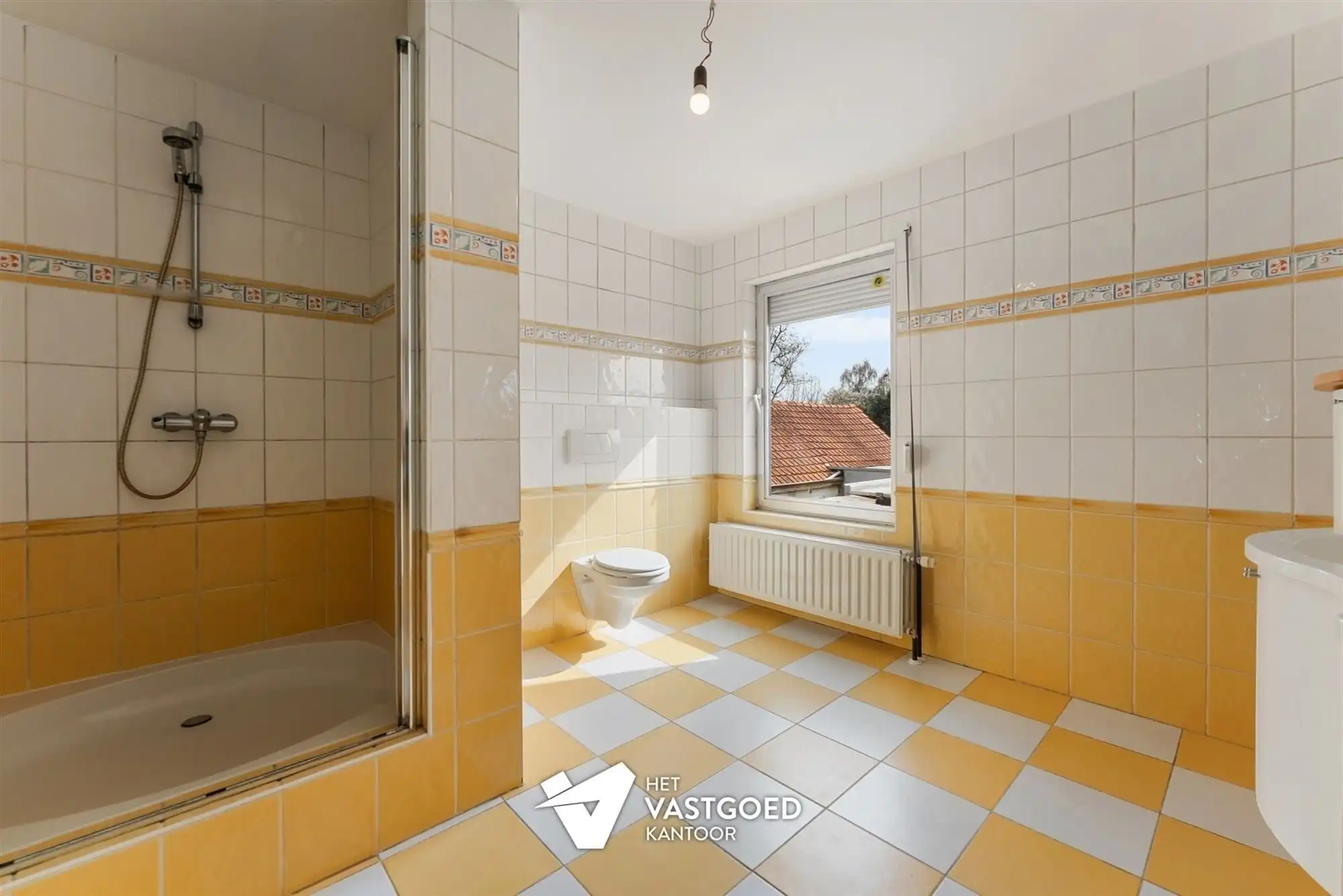 ZEER RUIME WONING (CA 550M2) MET ENORME MOGELIJKHEDEN foto 10