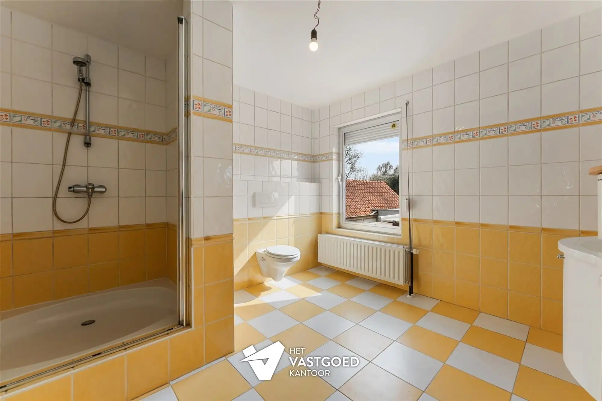 ZEER RUIME WONING (CA 550M2) MET ENORME MOGELIJKHEDEN foto 10