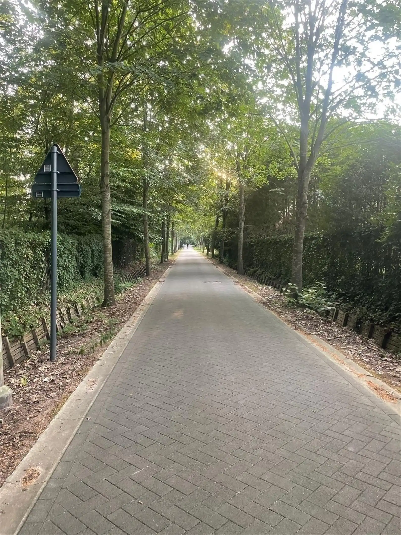 Prachtig nieuw te bouwen Sels villa in hartje Schotenhof foto 20