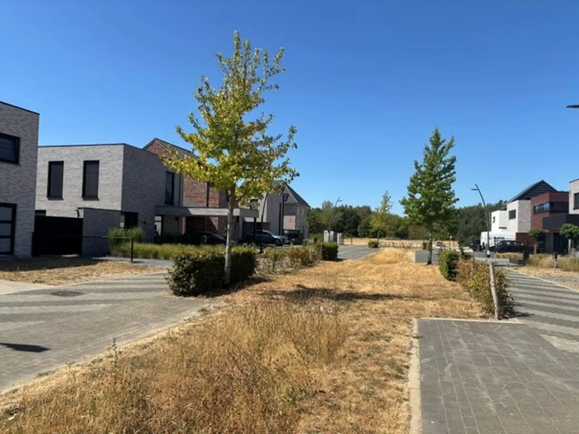 Zuidgerichte bouwgrond van 5are voor open bebouwing, rustig gelegen in een rustige, kindvriendelijke verkaveling in Maasmechelen! foto 2