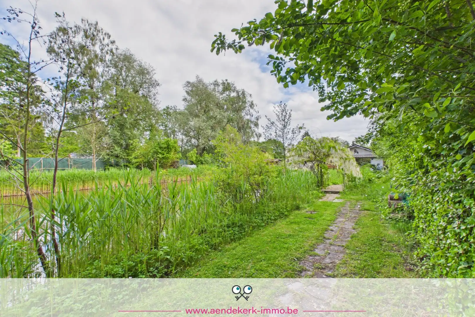 Bijzondere recreatie-eigendom met vijver en bemeubelde chalet te Maaseik foto 14