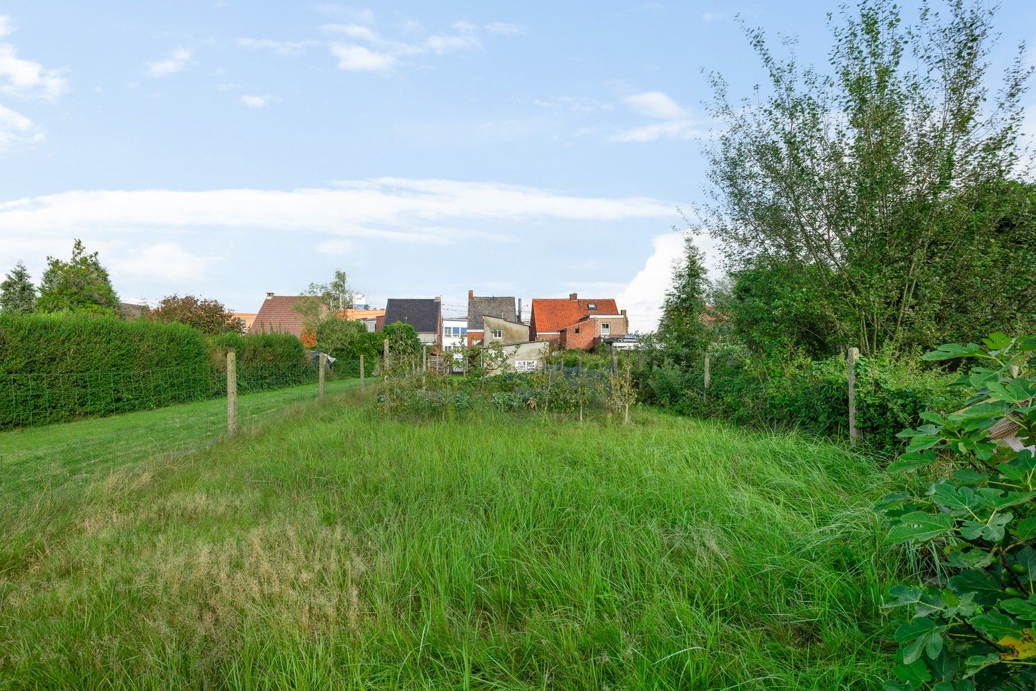 Te renoveren woning met tuin en 2 slaapkamers te koop in Oelegem foto 18