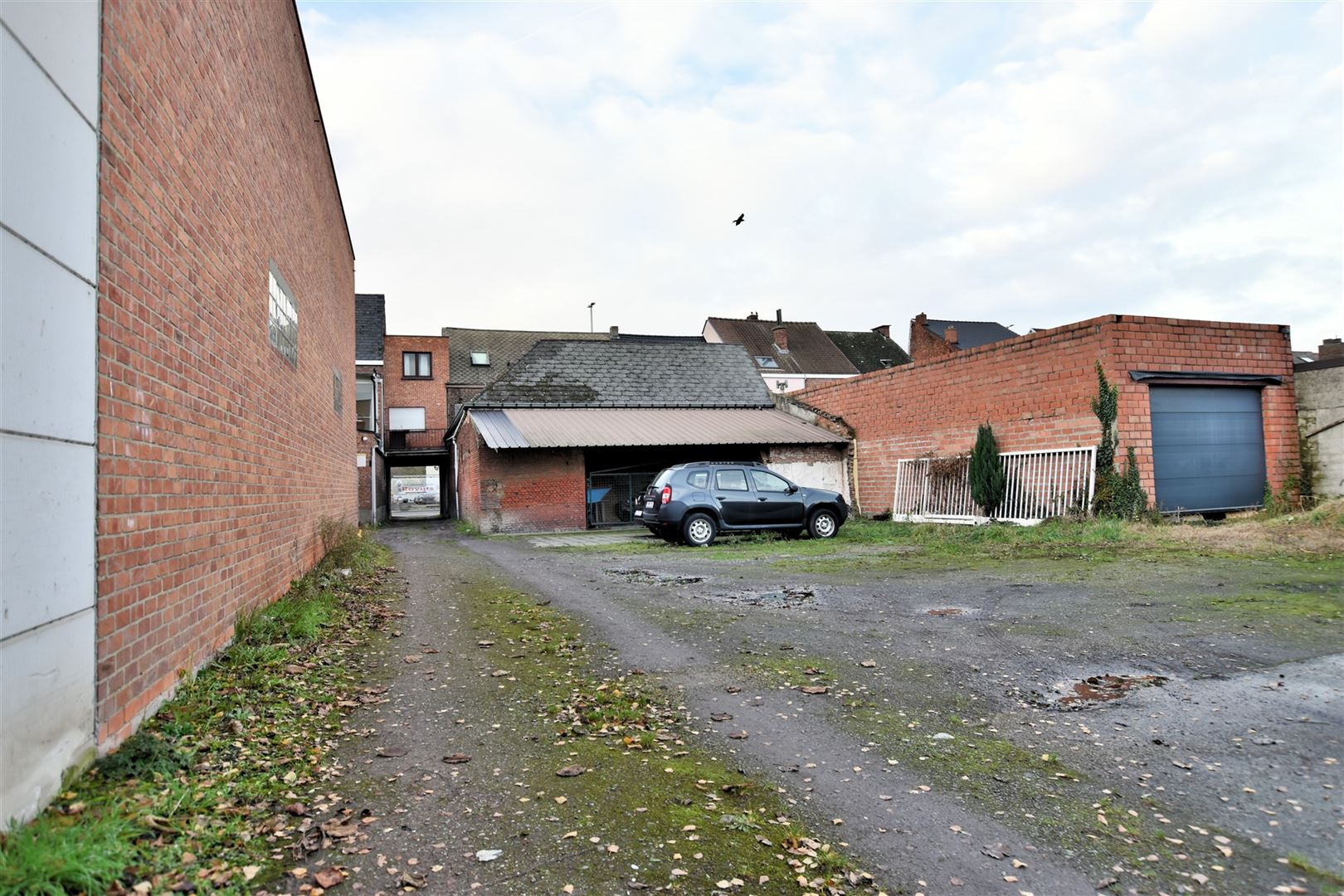 Ruime loods met sectionale poort te Dendermonde foto 12