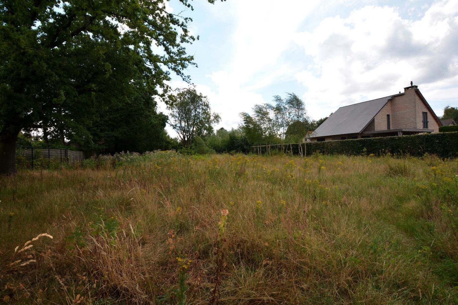 BOUWGROND 783 m² VOOR OPEN BEBOUWING! foto 6