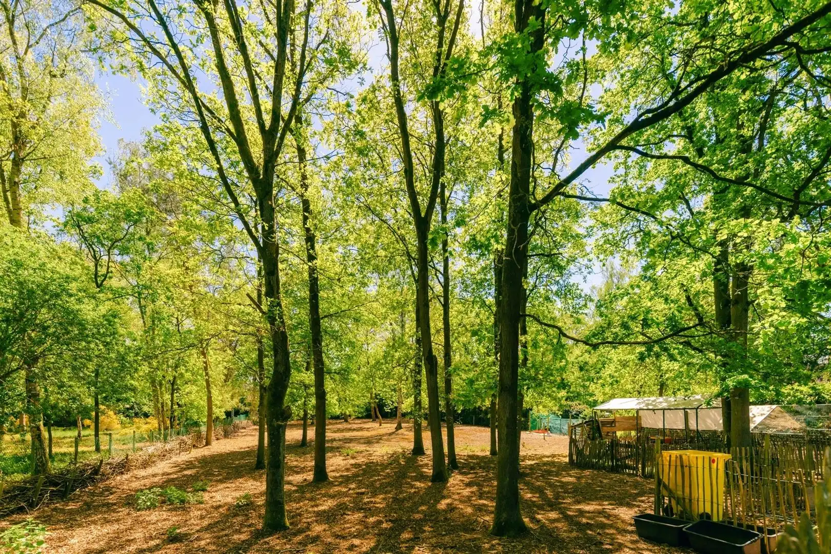 Exclusieve familievilla met zwembad aan de Kesselse Heide. foto 27