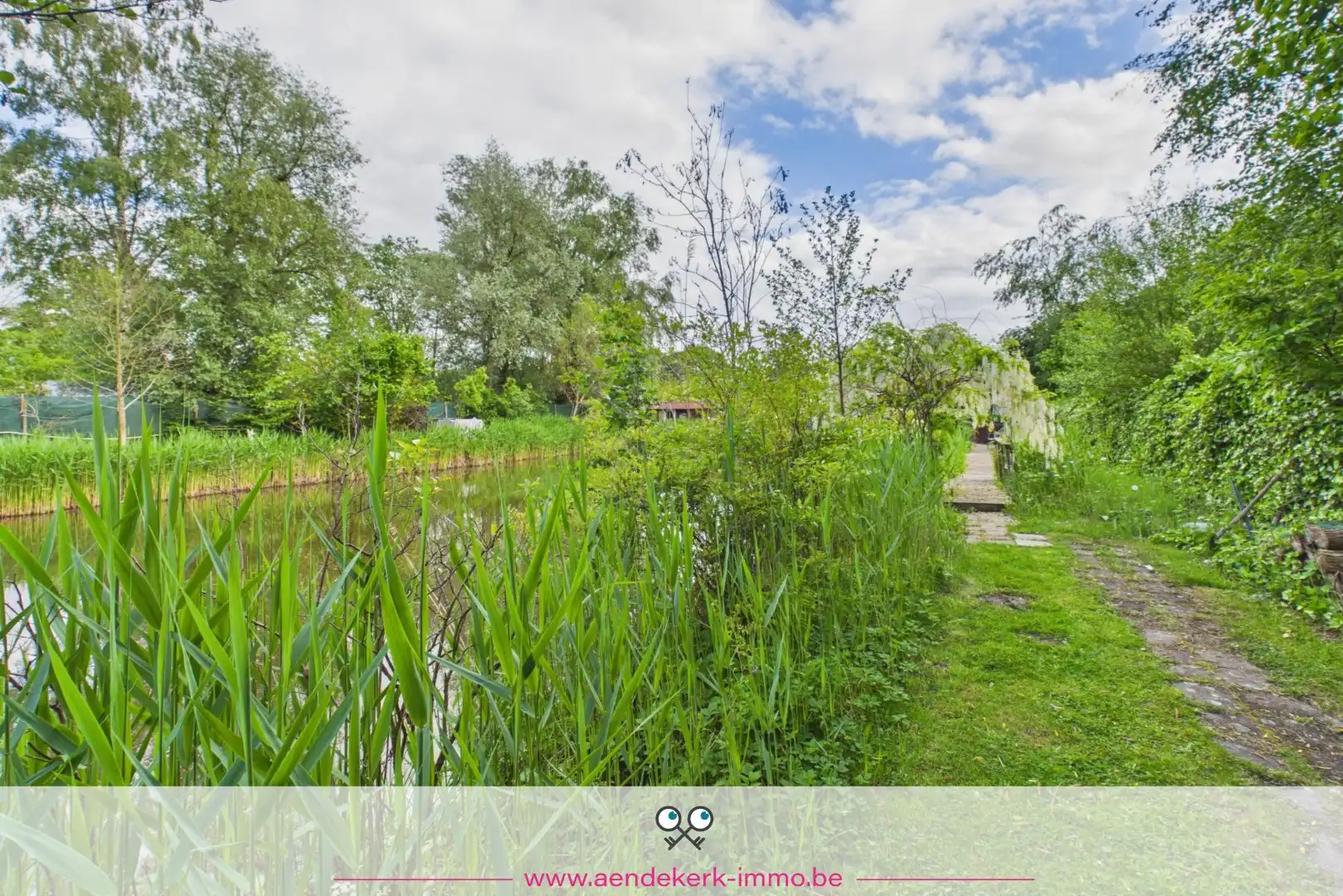 Bijzondere recreatie-eigendom met vijver en bemeubelde chalet te Maaseik foto 15