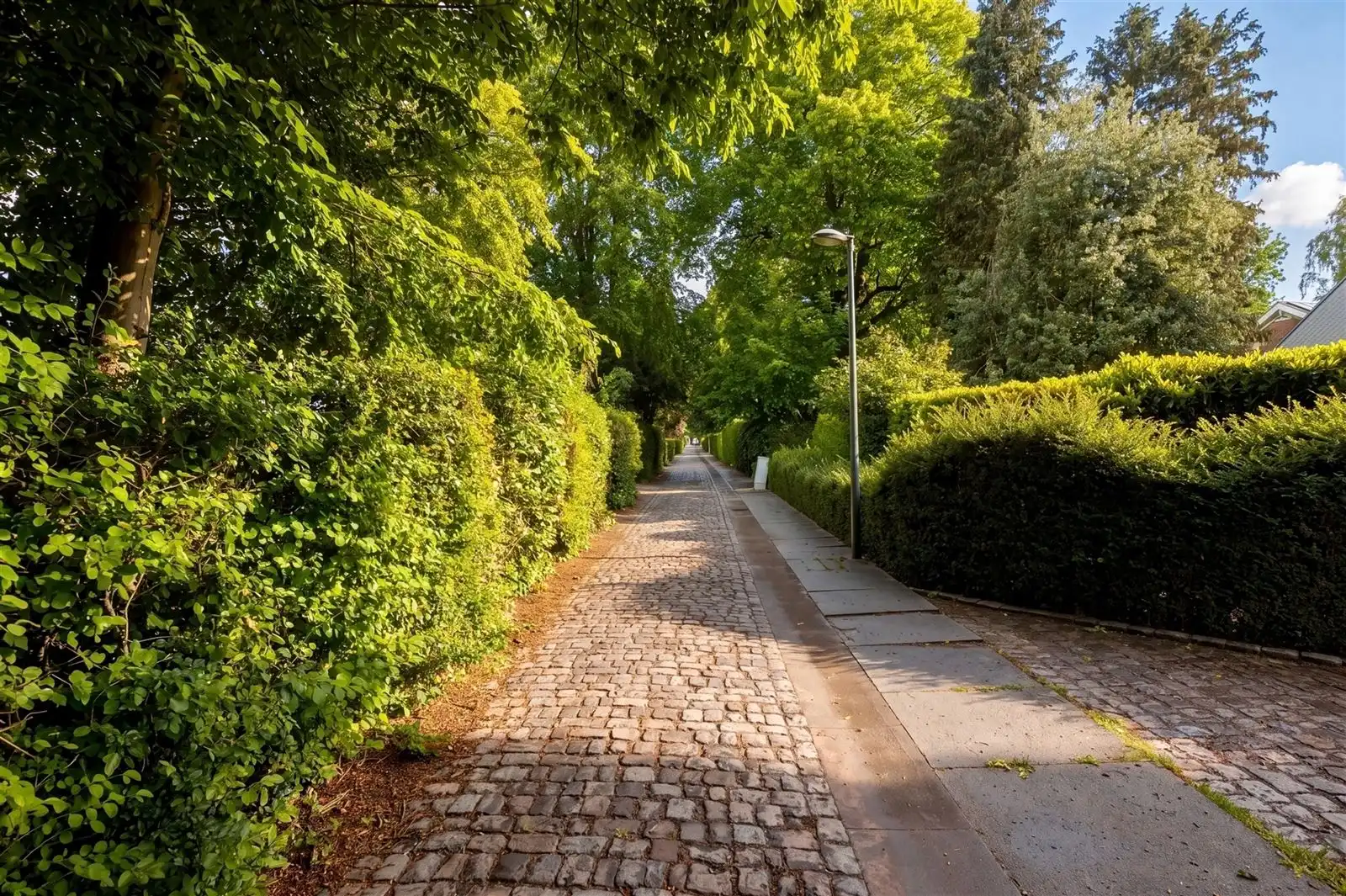 Een unieke opportuniteit voor wie op zoek is naar ruimte, rust, groen en een uitstekende ligging nabij Brussel. foto 25