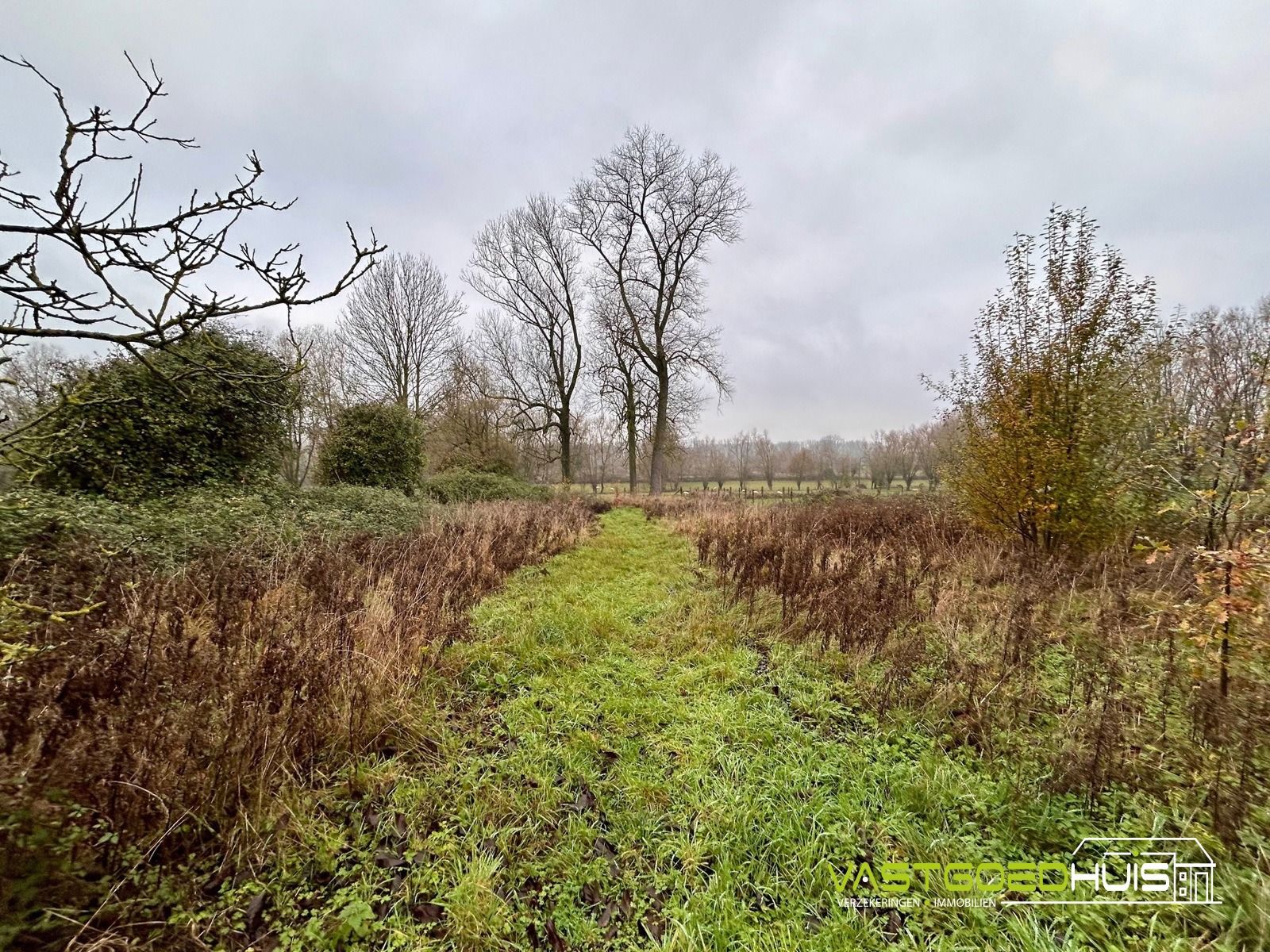 Charmante boerderij-hoeve te koop op een terrein van 22a85ca foto 22