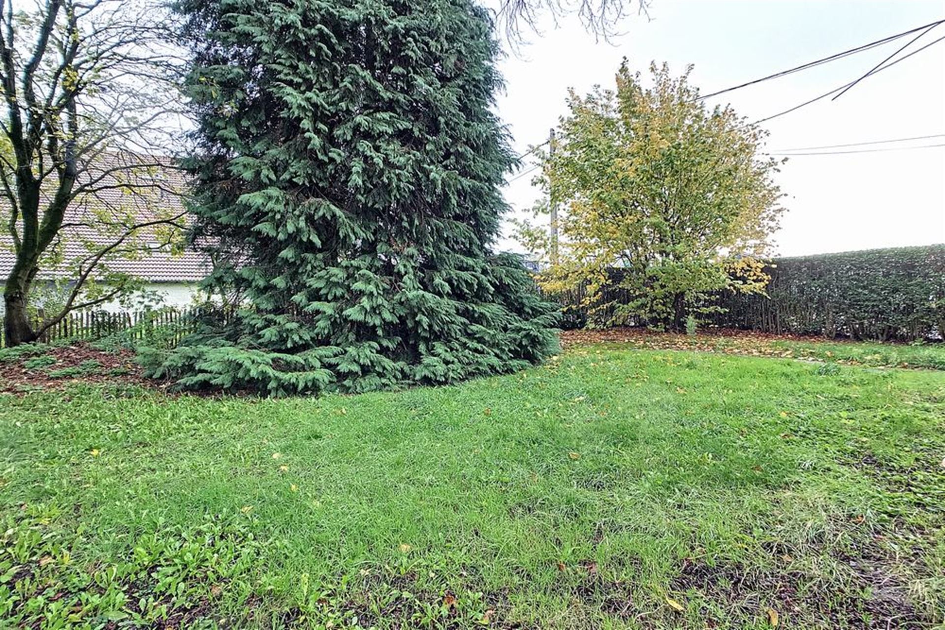 Volledig gerenoveerde woning met tuin foto 14