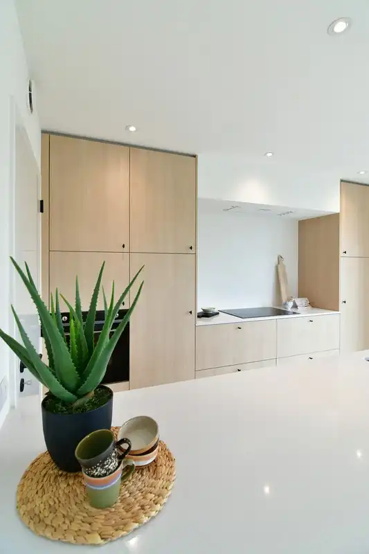 Halfopen nieuwbouwwoning te Wetteren foto 2