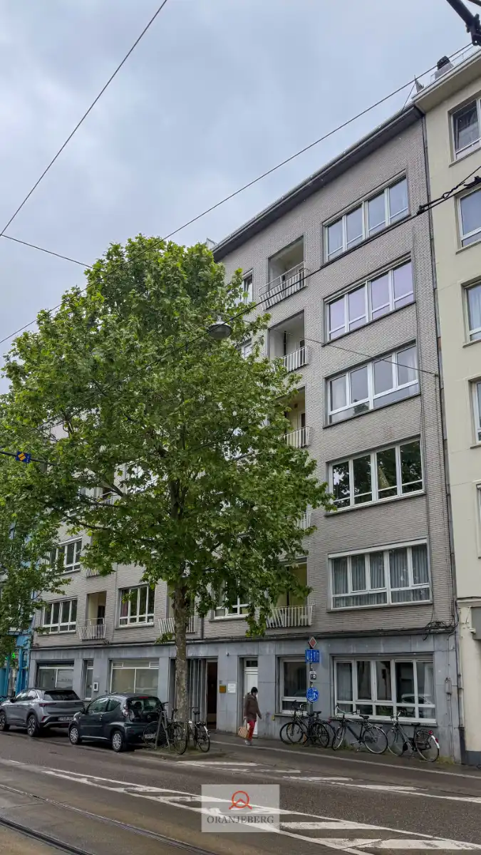 Ruim 3 slpk appartement vlakbij Station Gent-Sint-pieters. foto 2