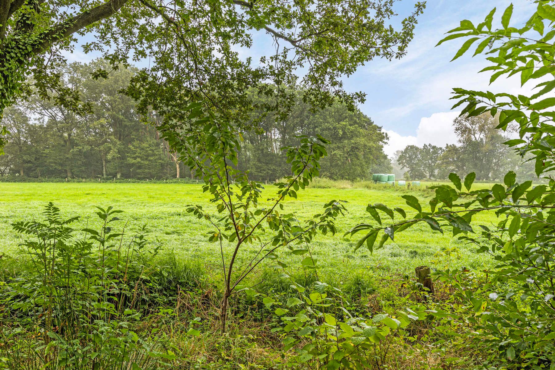 Genieten van eenvoud in een groen kader foto 5