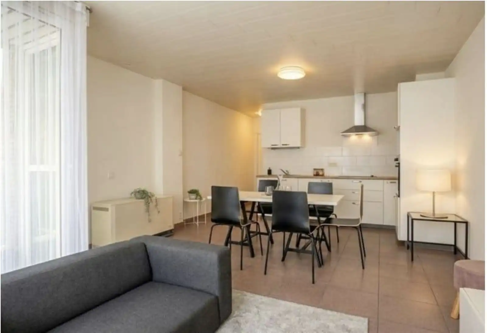 Appartement te Zottegem foto 2