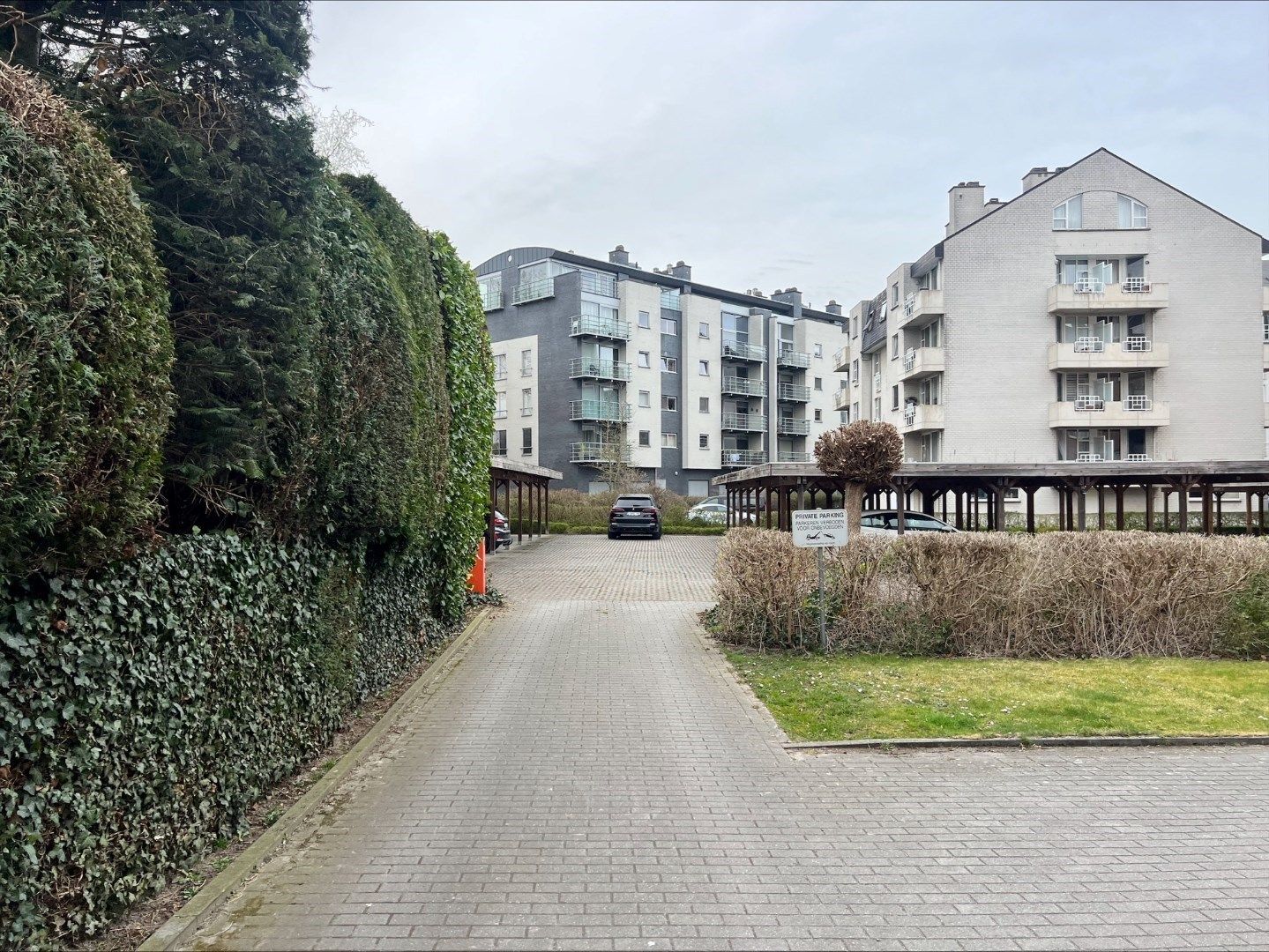 🏡 Carports te koop in Kessel-Lo!  foto 3