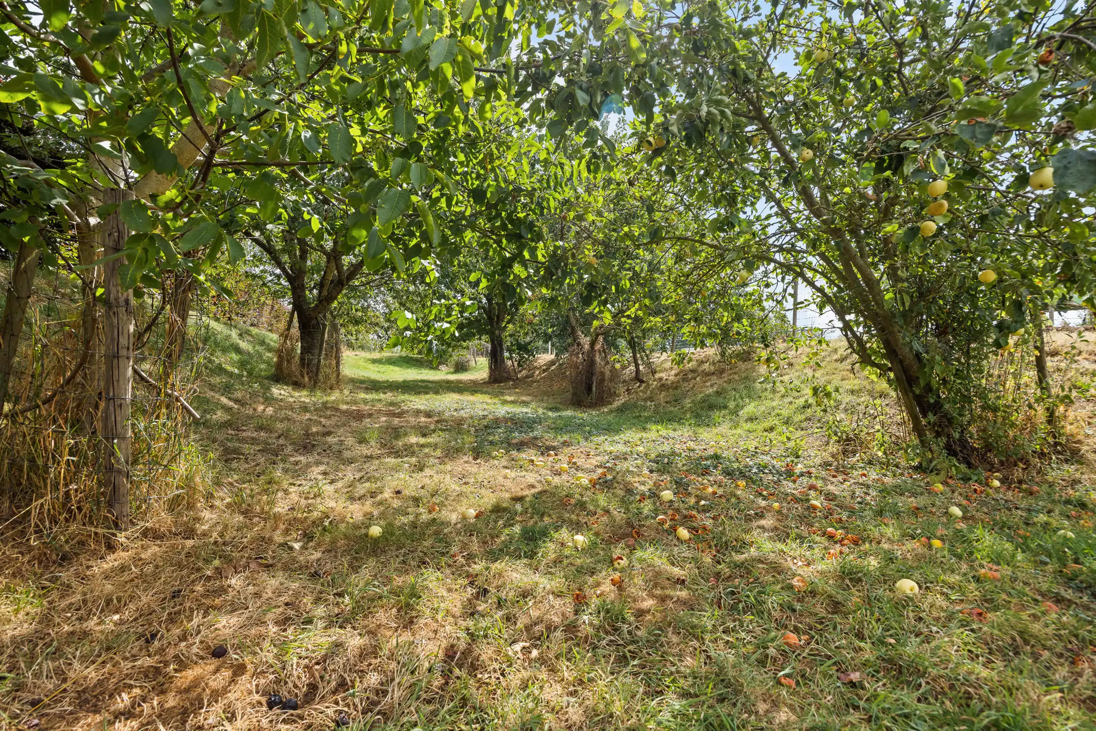 Instapklare gezinswoning met garage te Elst  foto 28