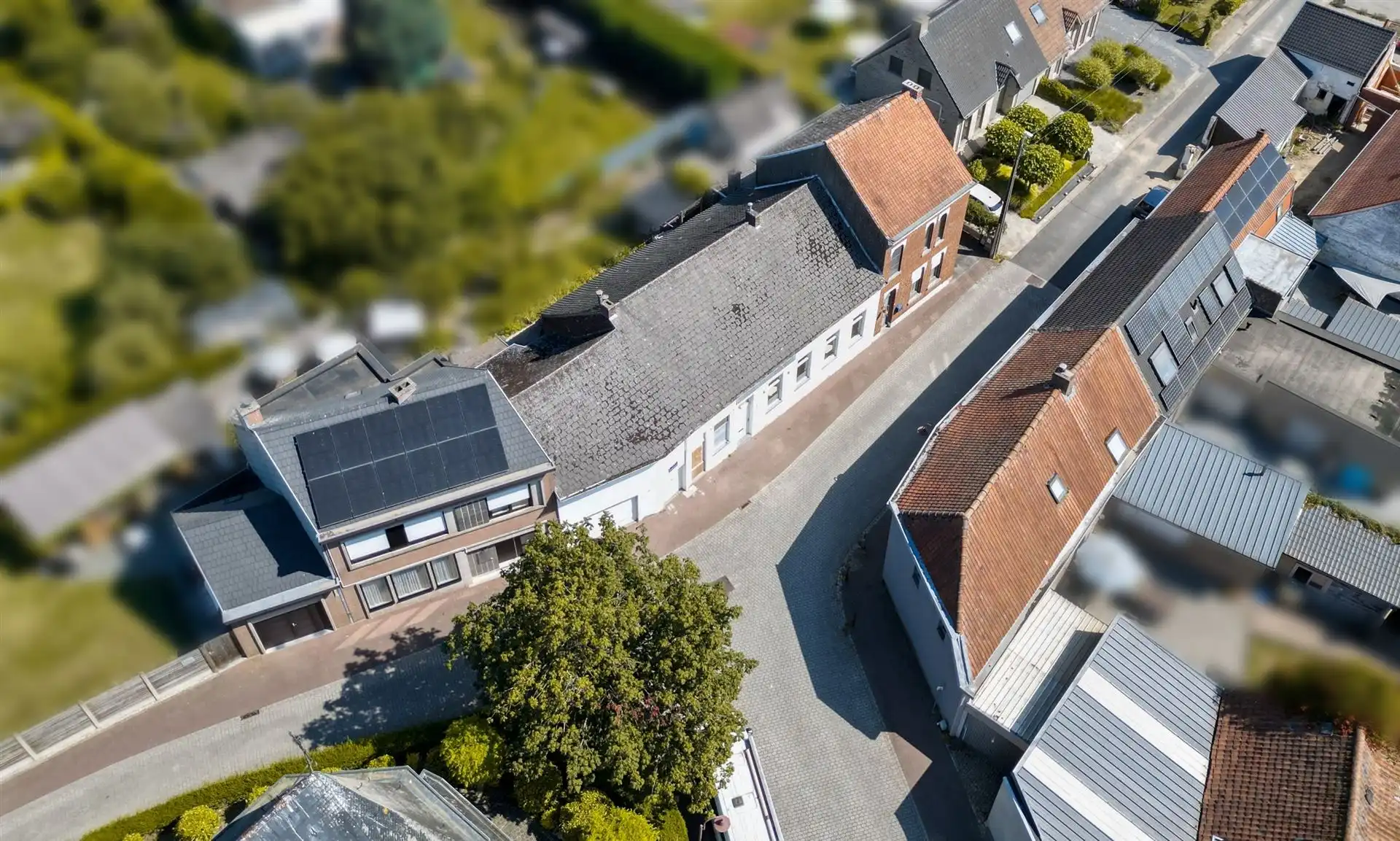 Totaal te renoveren (handels)huis foto 4