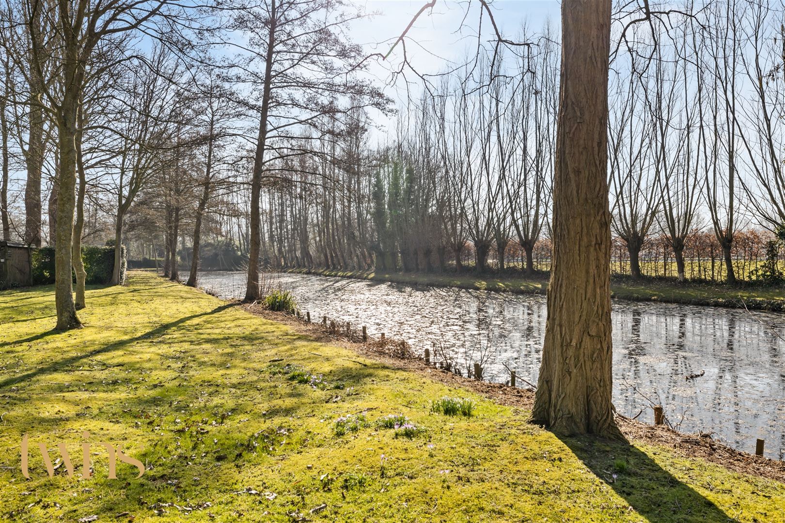 Imposant Landhuis op een Perceel van 6607m² te Grembergen foto 6