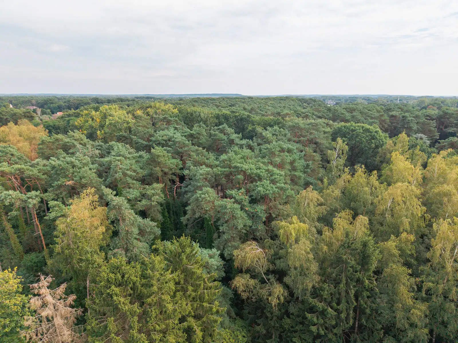 Prachtig groen recreatiedomein van maar liefst 50are! foto 3