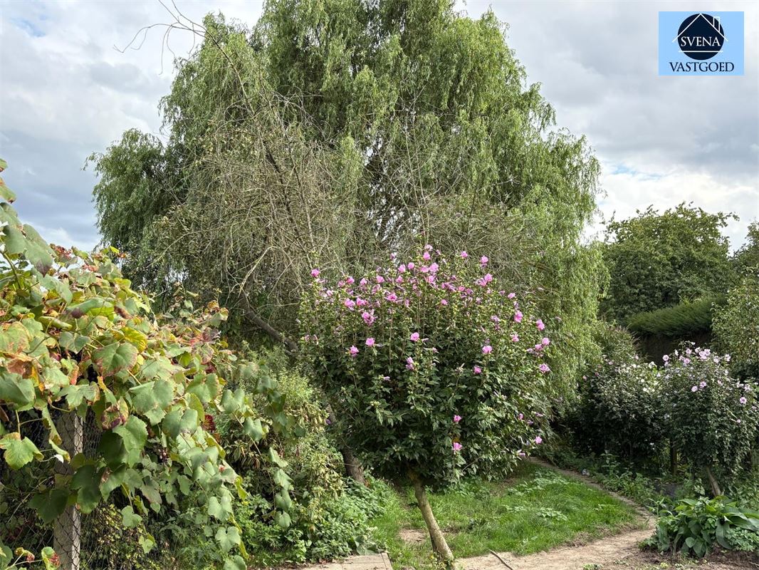 RUIME AUTHENTIEKE WONING IN ZARLARDINGE foto 12