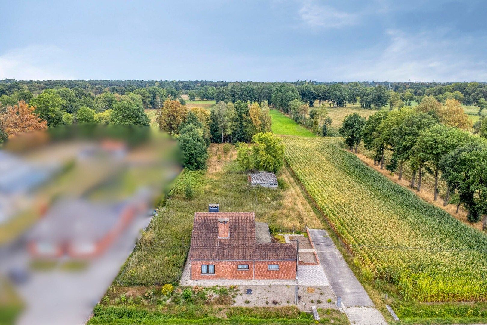 Woning met 3 slaapkamers op 3.363 m², landelijk gelegen te Olen ! foto 6