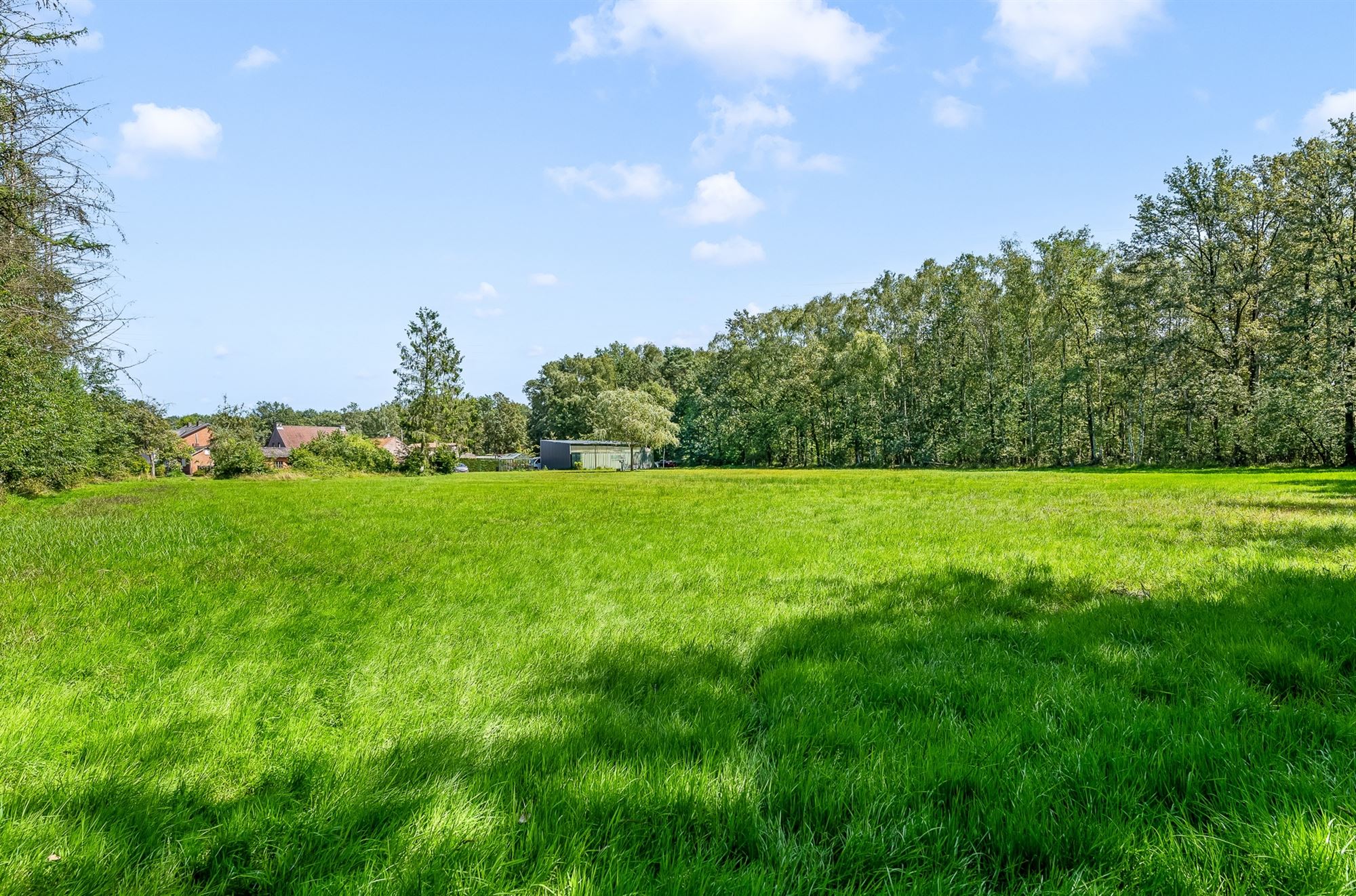 TE RENOVEREN WONING MET TAL VAN MOGELIJKHEDEN OP RUSTIG GELEGEN PERCEEL VAN 42 ARE TE ZOLDER foto 16