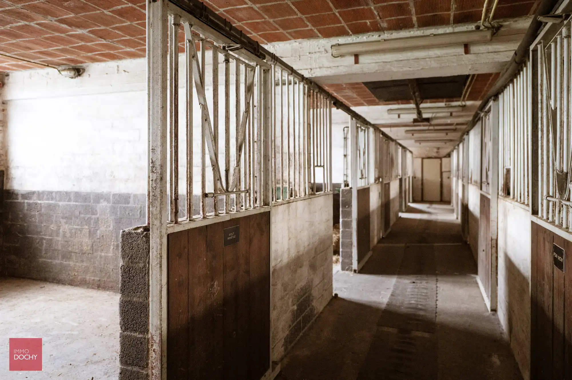 Vierkantshoeve met paardenaccommodatie op ca. 5,3ha foto 17