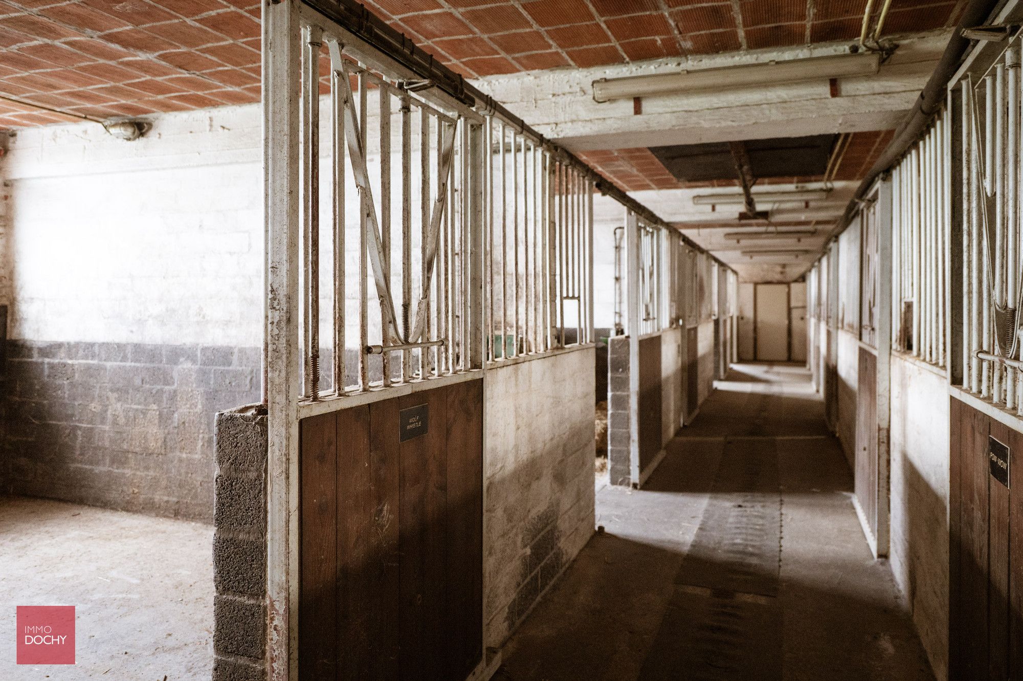 Vierkantshoeve met paardenaccommodatie op ca. 5,3ha foto 17