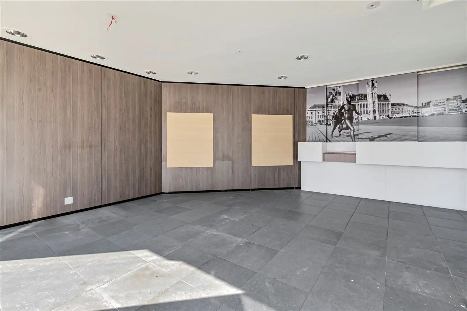 Centraal gelegen zeer ruim commercieel pand met 5 parkeerplaatsen foto 3