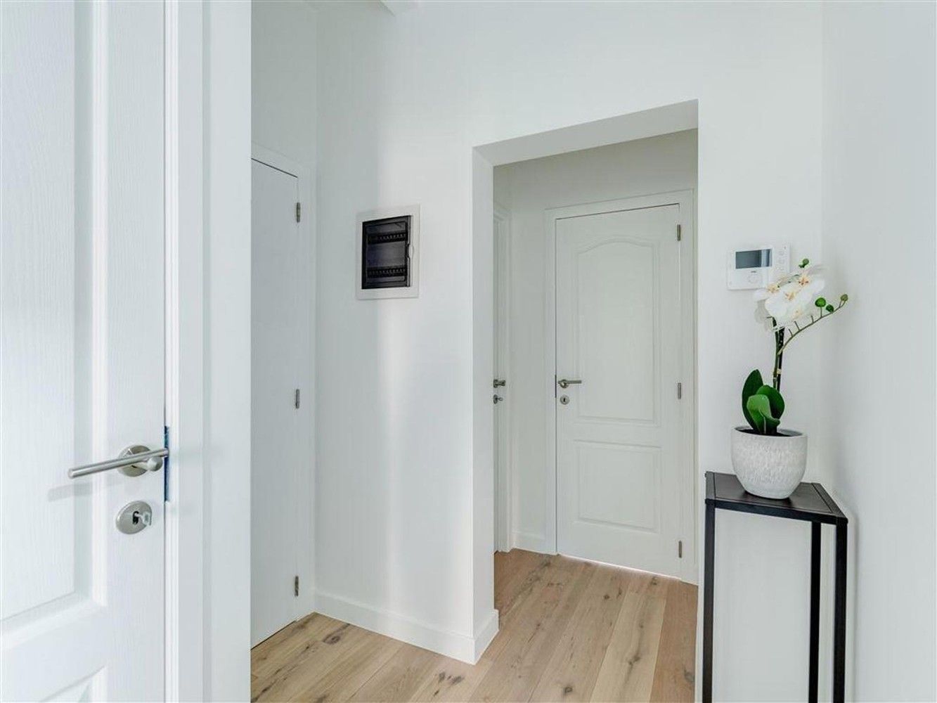 Lichtrijk appartement met terrasje in kleinschalig gebouw! foto 3
