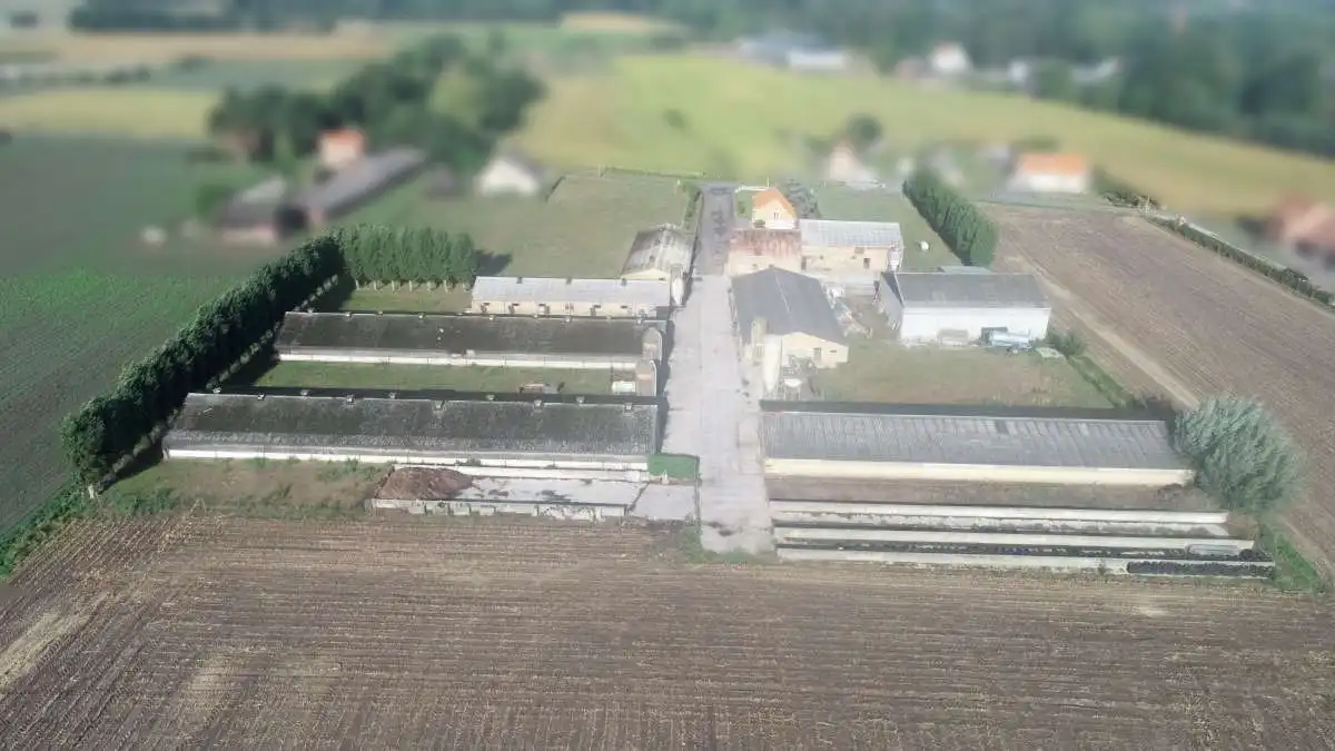 Gemengd landbouwbedrijf gelegen te Maldegem foto 3