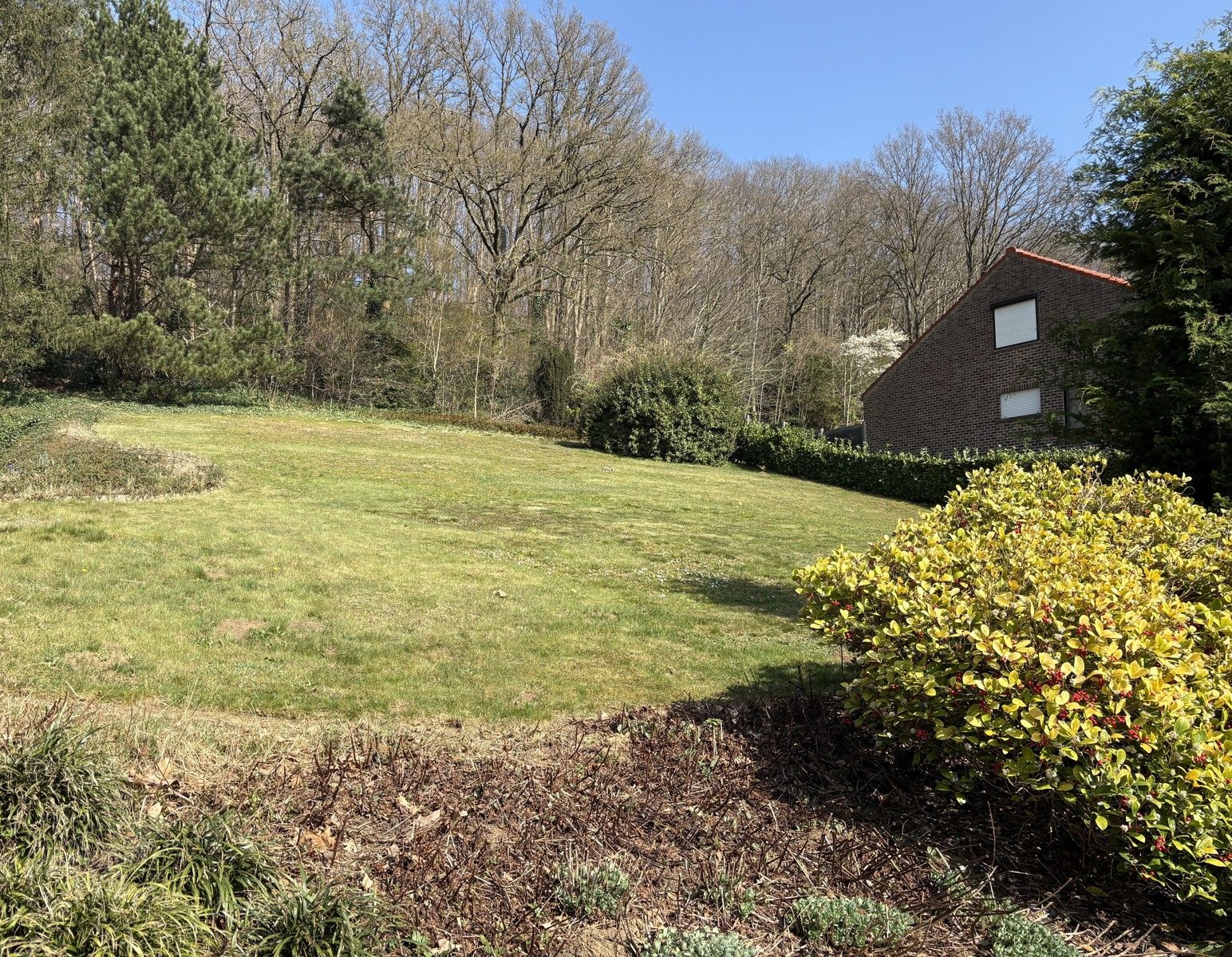 Residentiële bouwgrond voor open bebouwing foto 4