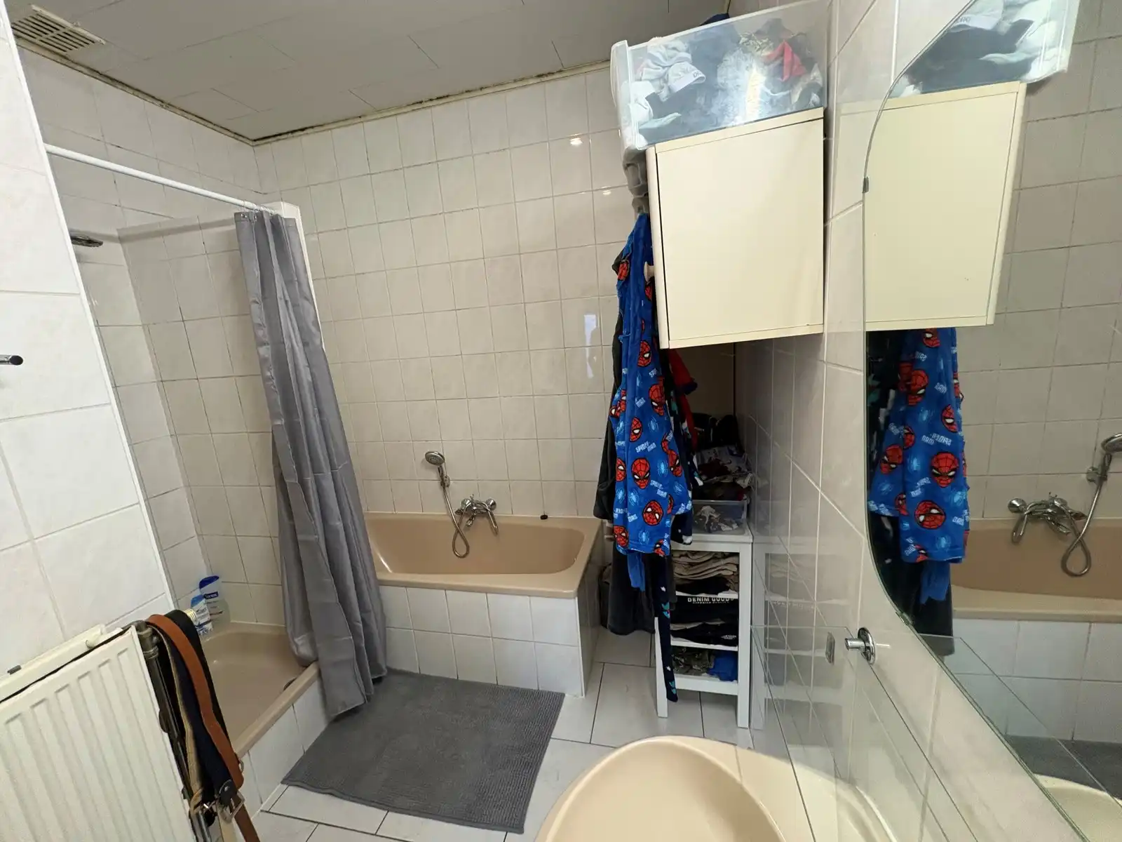 Boerderij te koop foto 11