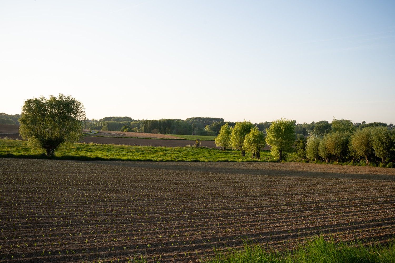 Instapklare landelijke woning in prachtige omgeving! foto 15