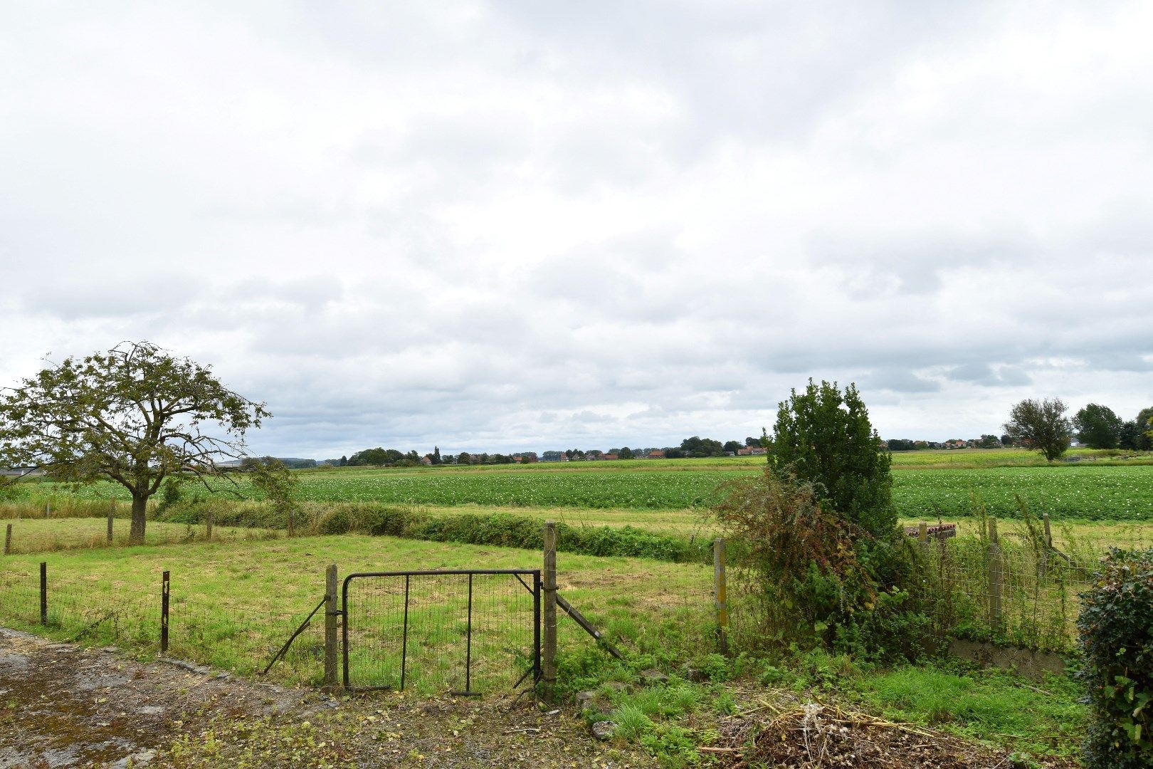 Hoeve op 11.106 m² te koop in het landelijke Spiere-Helkijn foto 2