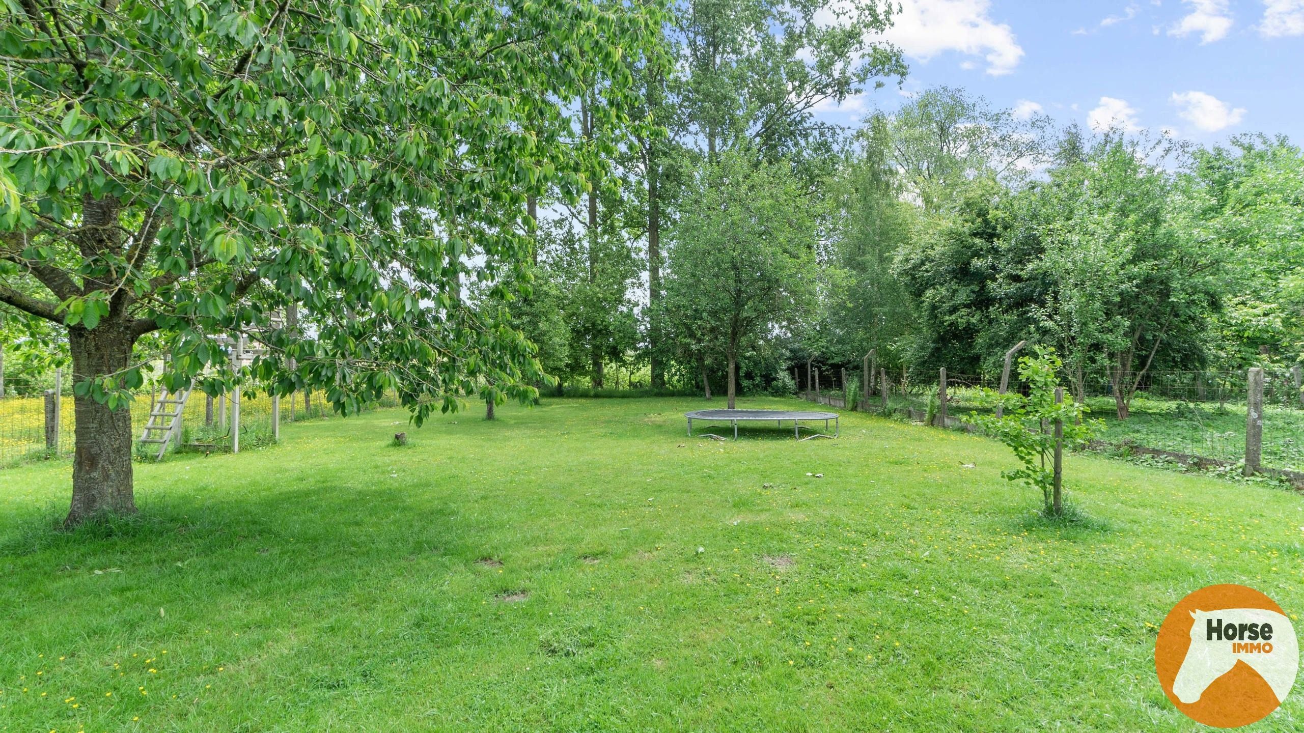 HERNE - Gerenoveerde woning met hangar op +-75a foto 20