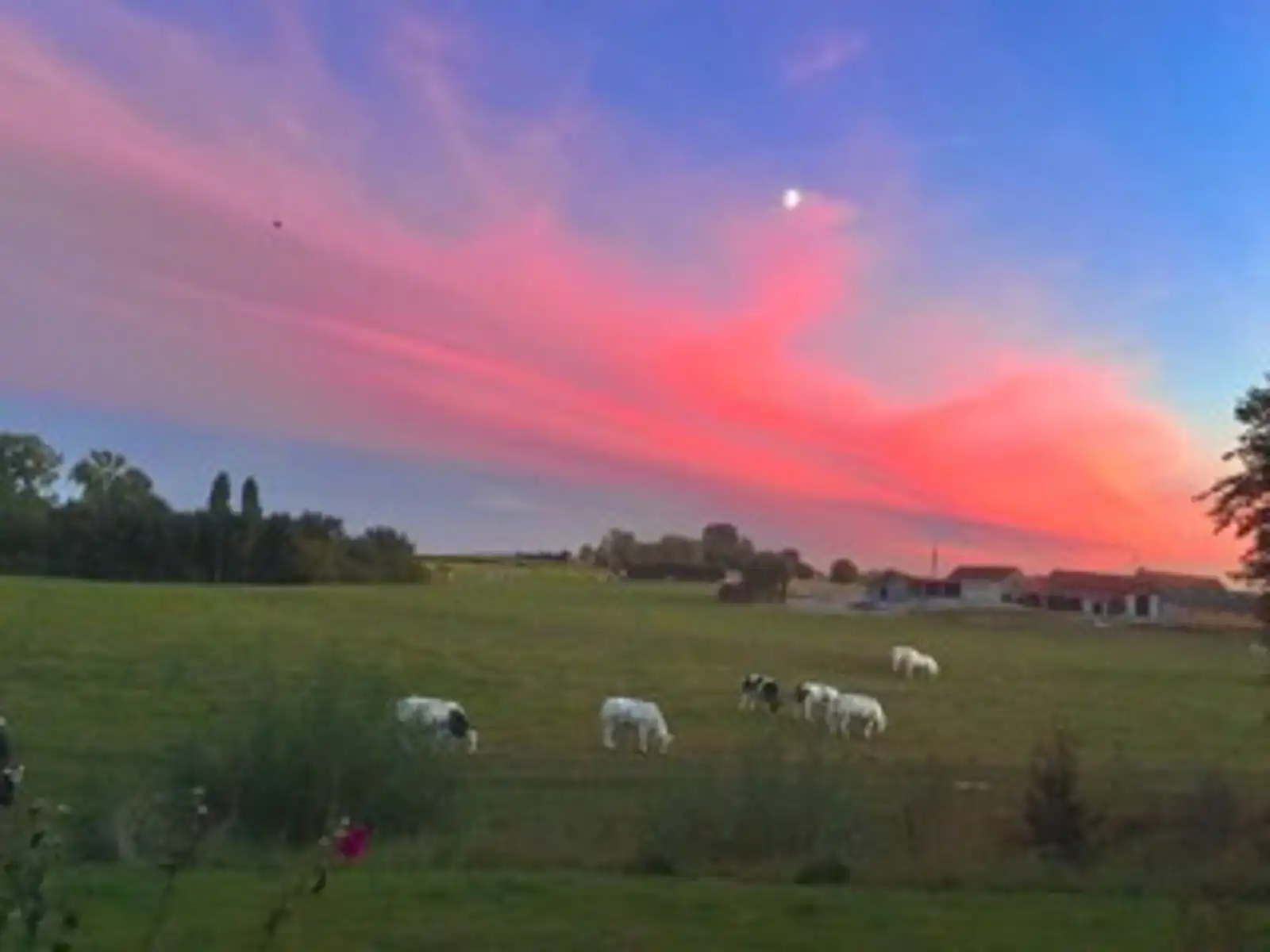 OPTIE Uitzonderlijk perceel bouwgrond met afgebrande woning foto 9