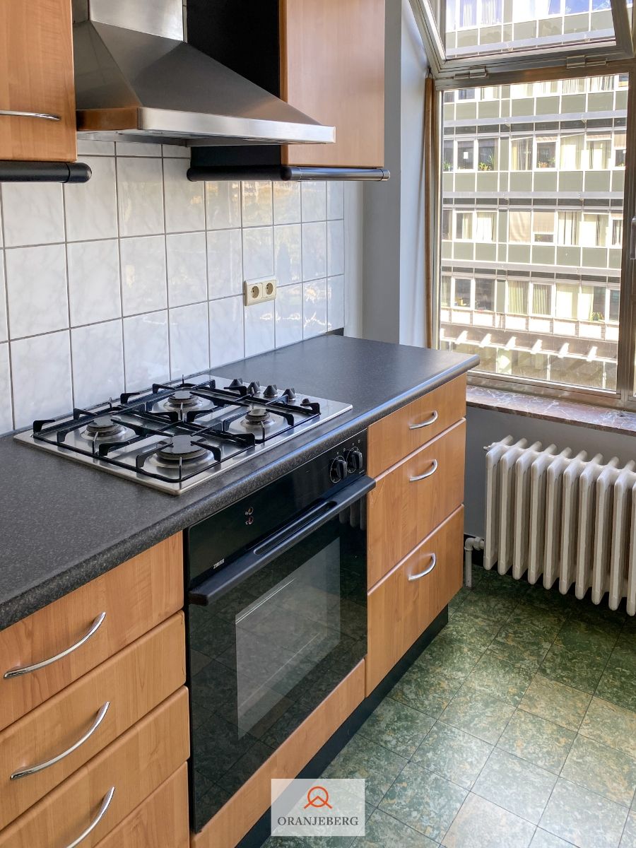 2 slaapkamerappartement met zicht op Zuidpark foto 15