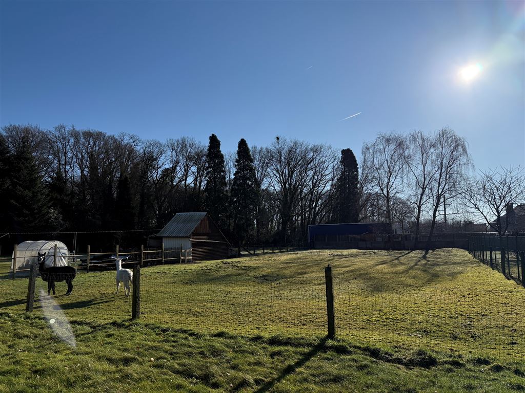 Vrijstaande, gelijkvloerse gezinswoning foto 9