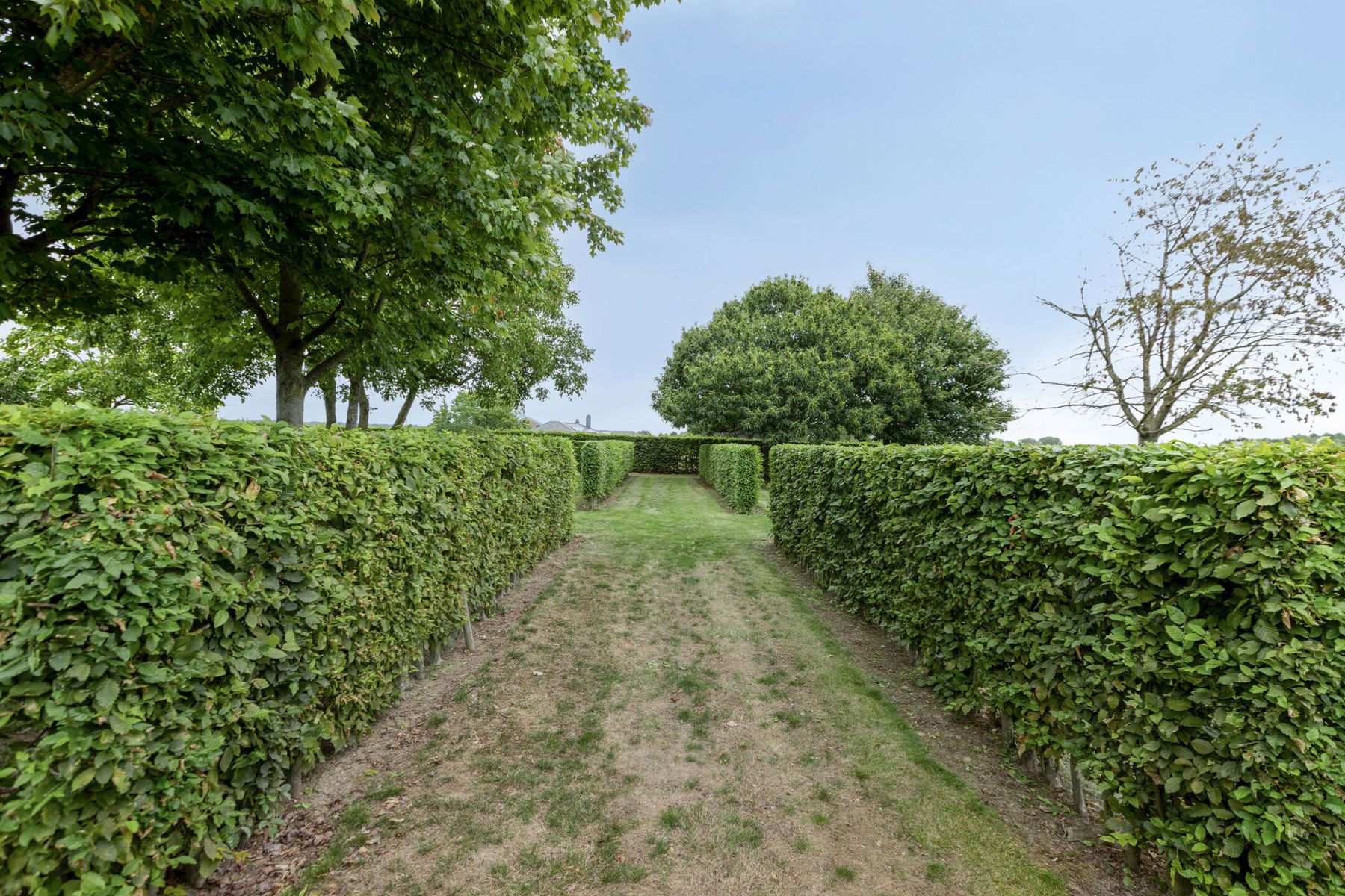 OPENDEURDAG 15/11 van 10 tot 12 UUR foto 33