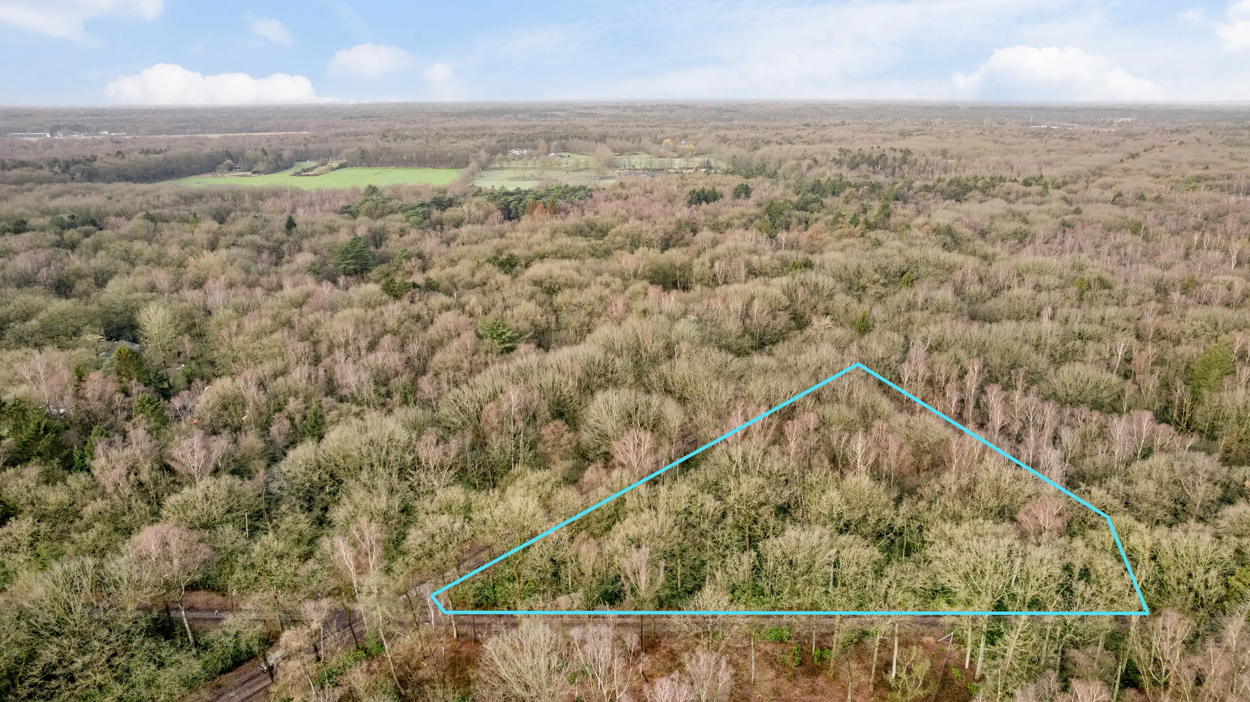 Perceel bosgrond te Gooreind! foto 5