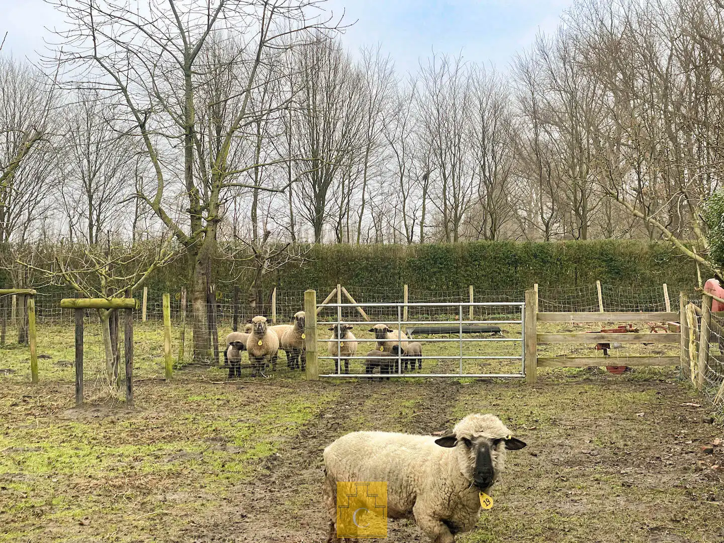 Uniek geheel van TWEE WONINGEN met bijgebouw, idyllisch gelegen aan de vaart foto 10