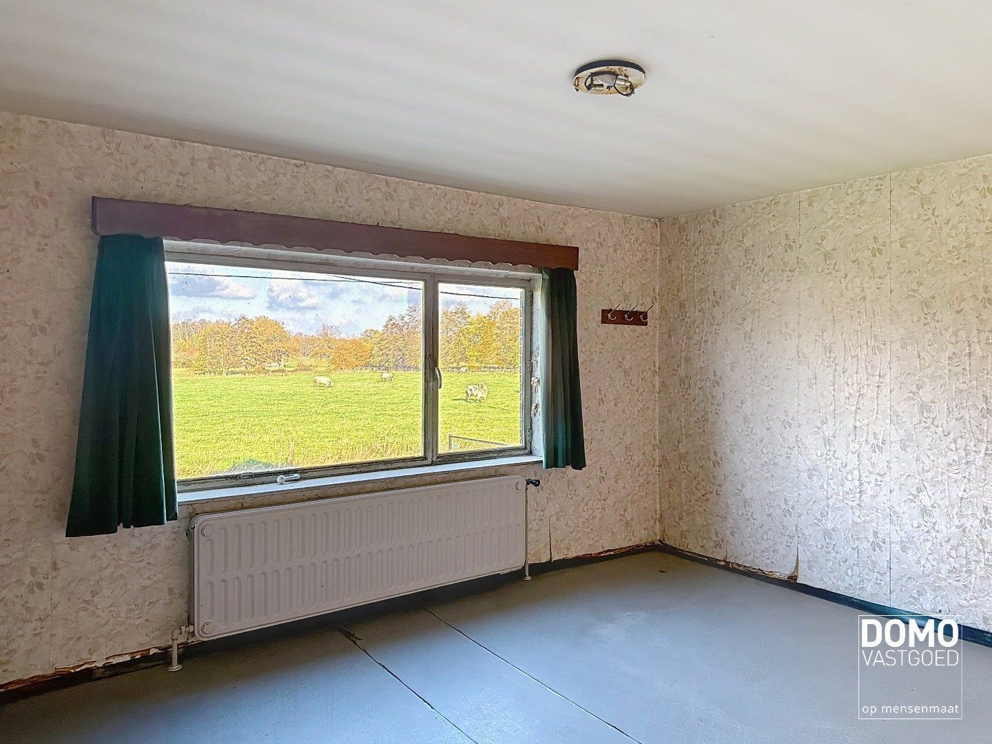 Ruime open bebouwing gelegen te Schulen met tal van mogelijkheden  foto 7